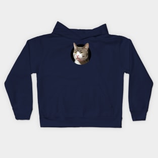 Sarcastic, indifferent cat...so, what? Kids Hoodie